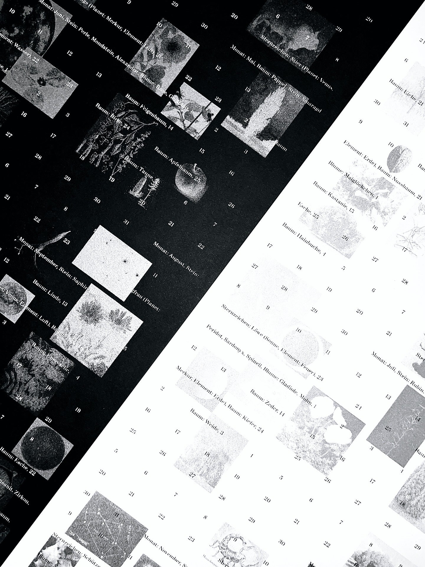 Kalender 2026