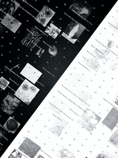 Kalender 2026