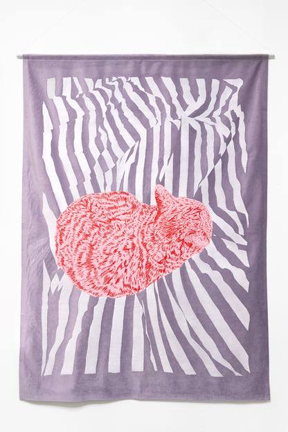 Kater D. – Dreamer