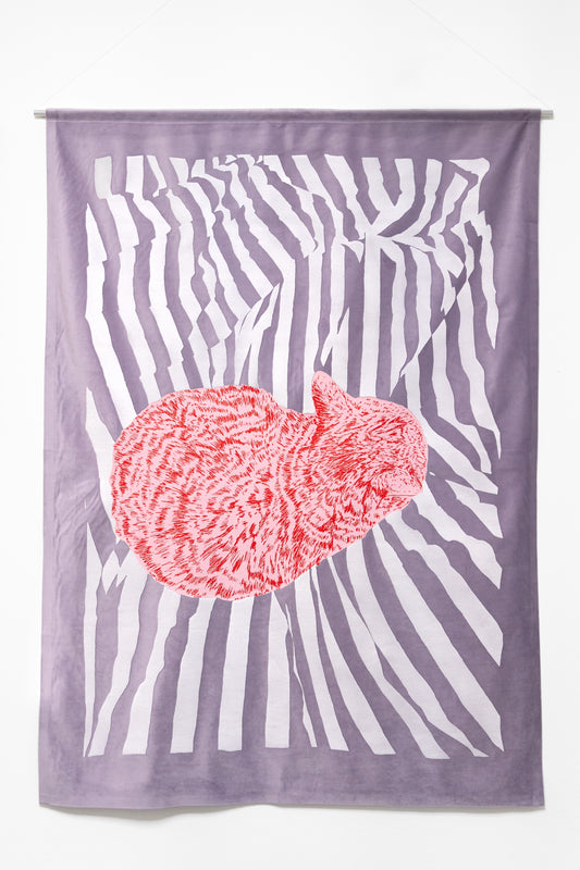 Kater D. – Dreamer