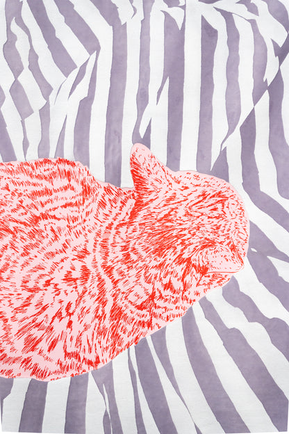 Kater D. – Dreamer