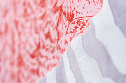 Kater D. – Dreamer