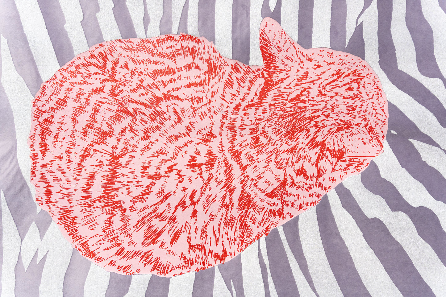 Kater D. – Dreamer