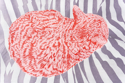 Kater D. – Dreamer